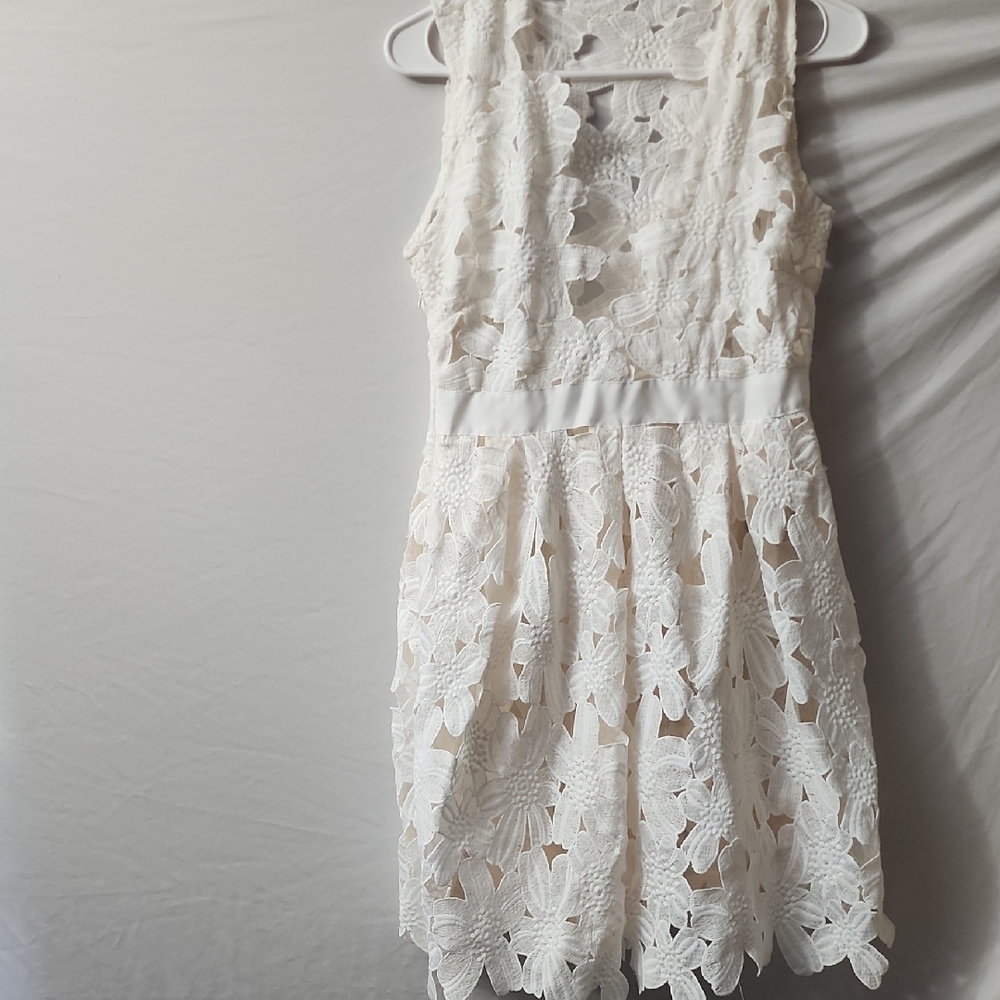 Sheer Layering Lace Dress